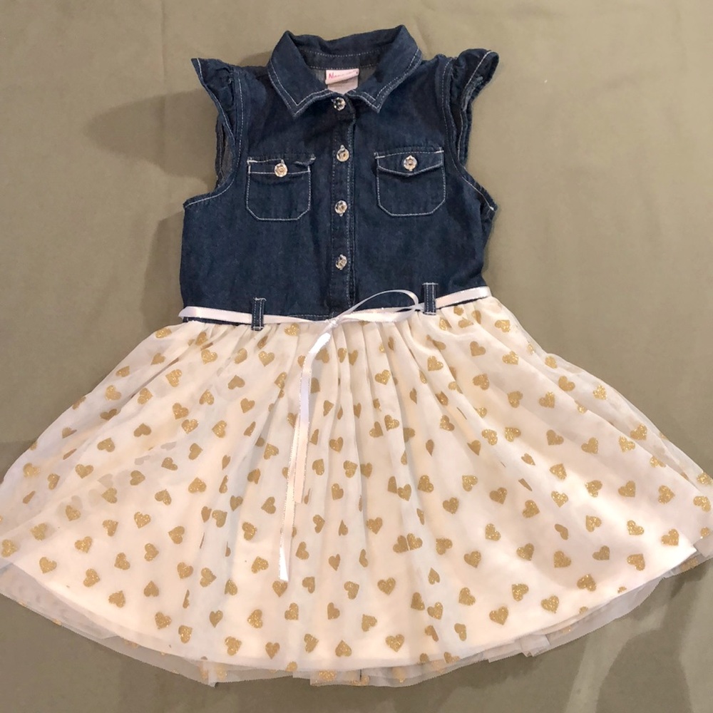 Super cute NaNNeTTe  Girl Dress size 6X”